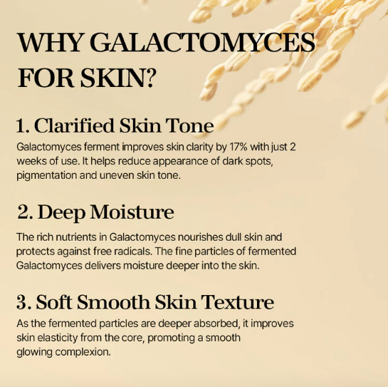 mixsoon Galactomyces Essence 100ml